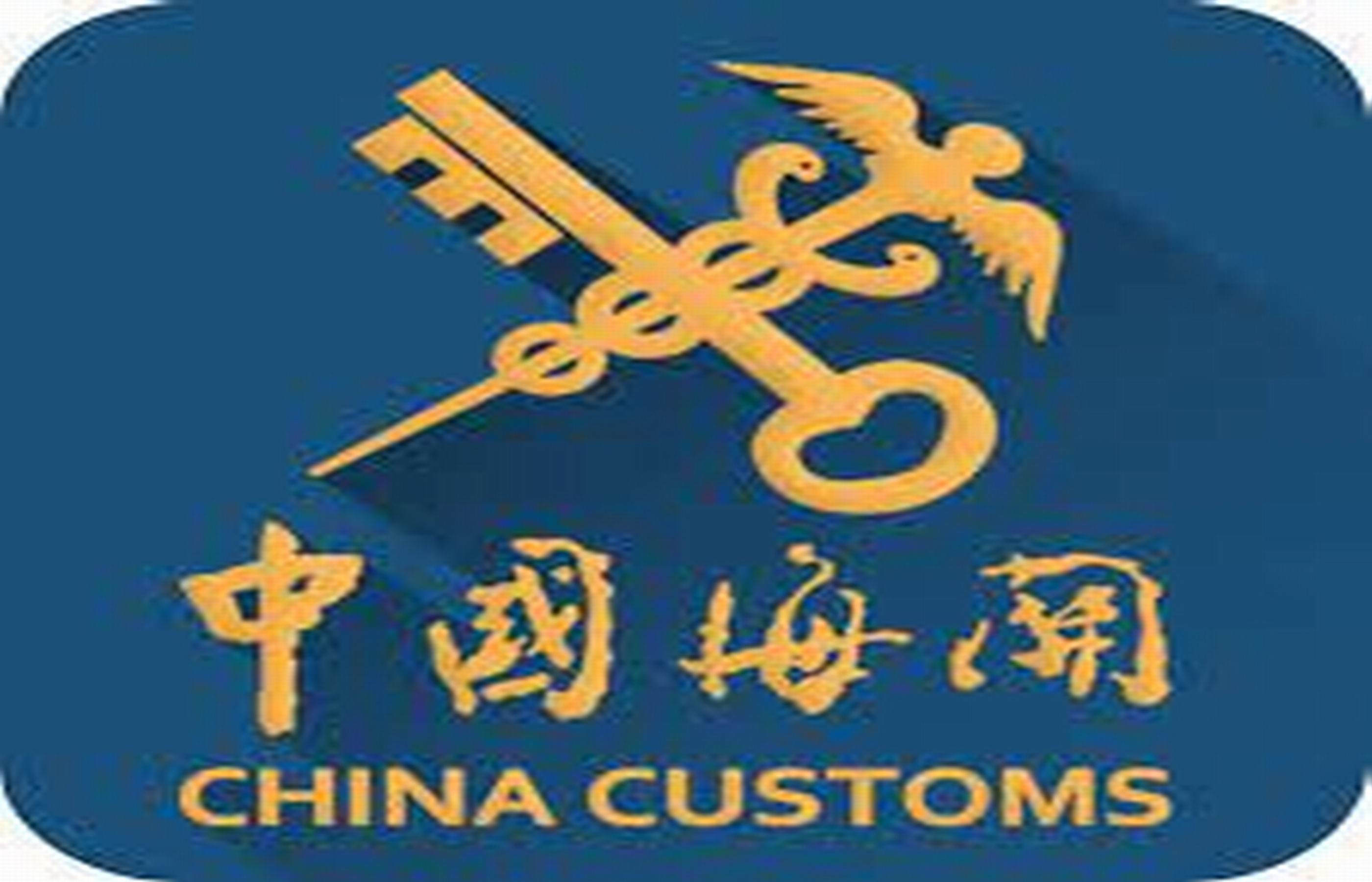 Customs declaration services